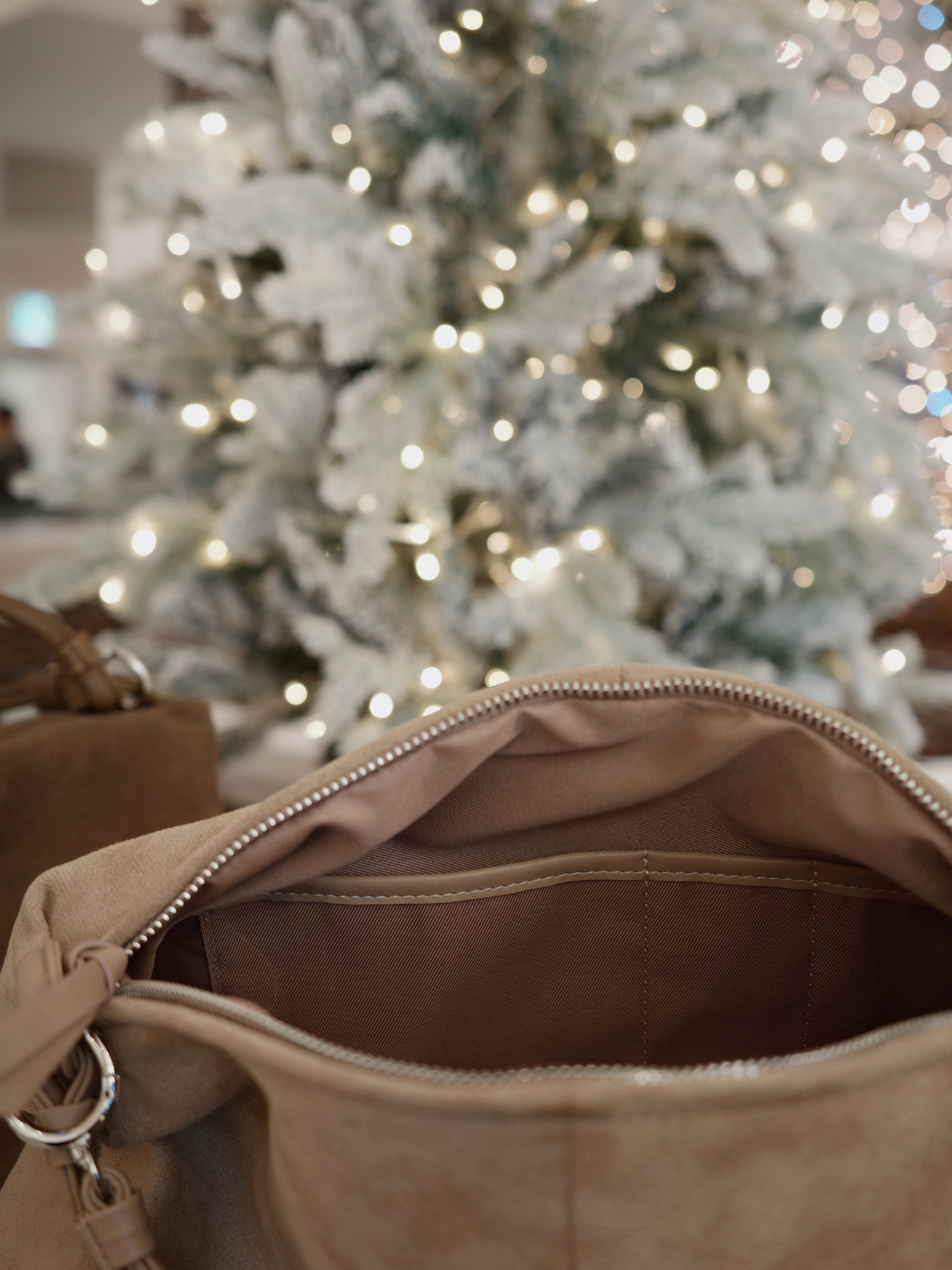 image_C579CC29-EC11-483F-9FD3-D5152A09E78B_1766748048