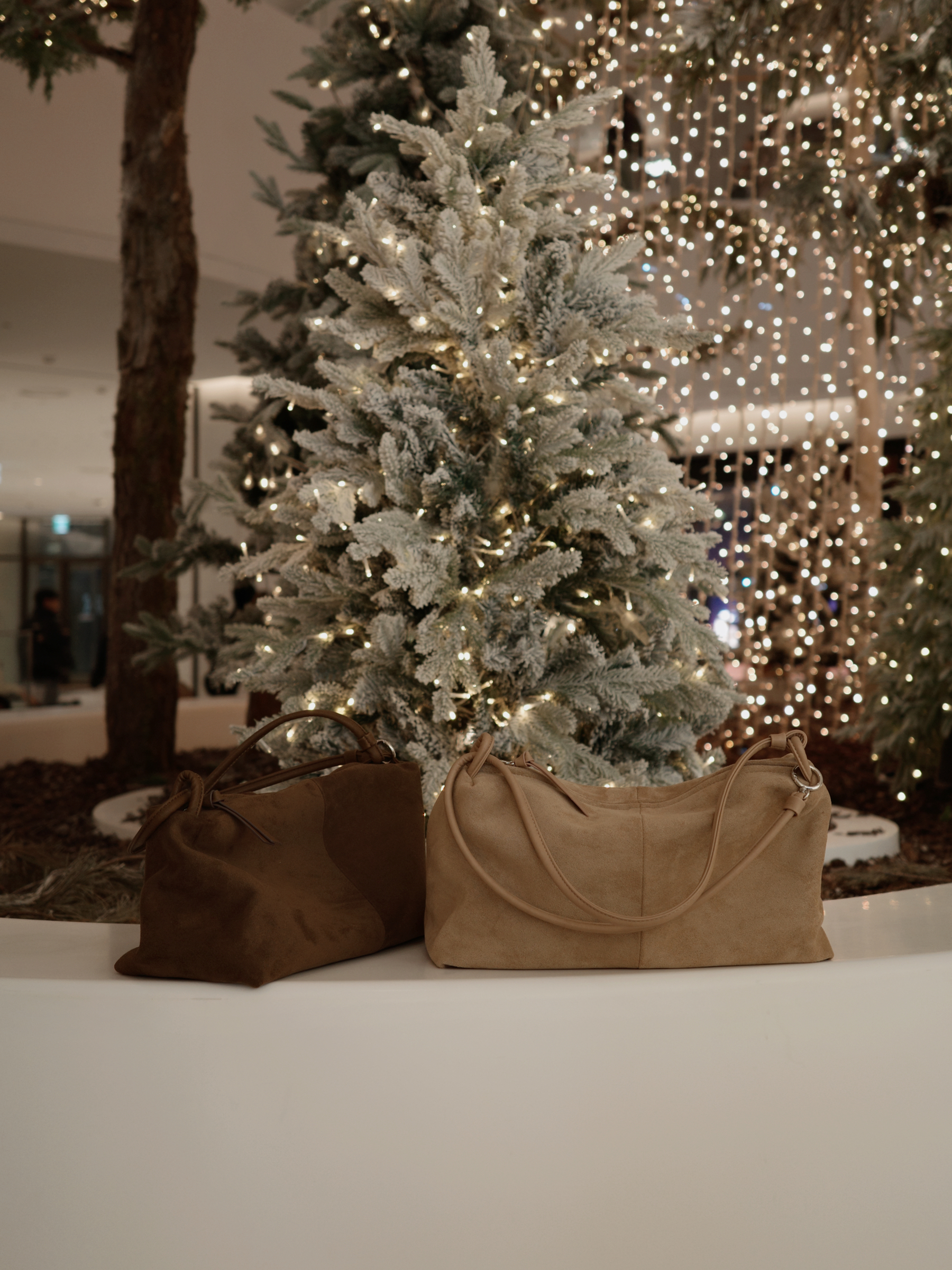 image_4B7C40DB-9AF6-41A4-9DE9-88171FDFF016_1766748125