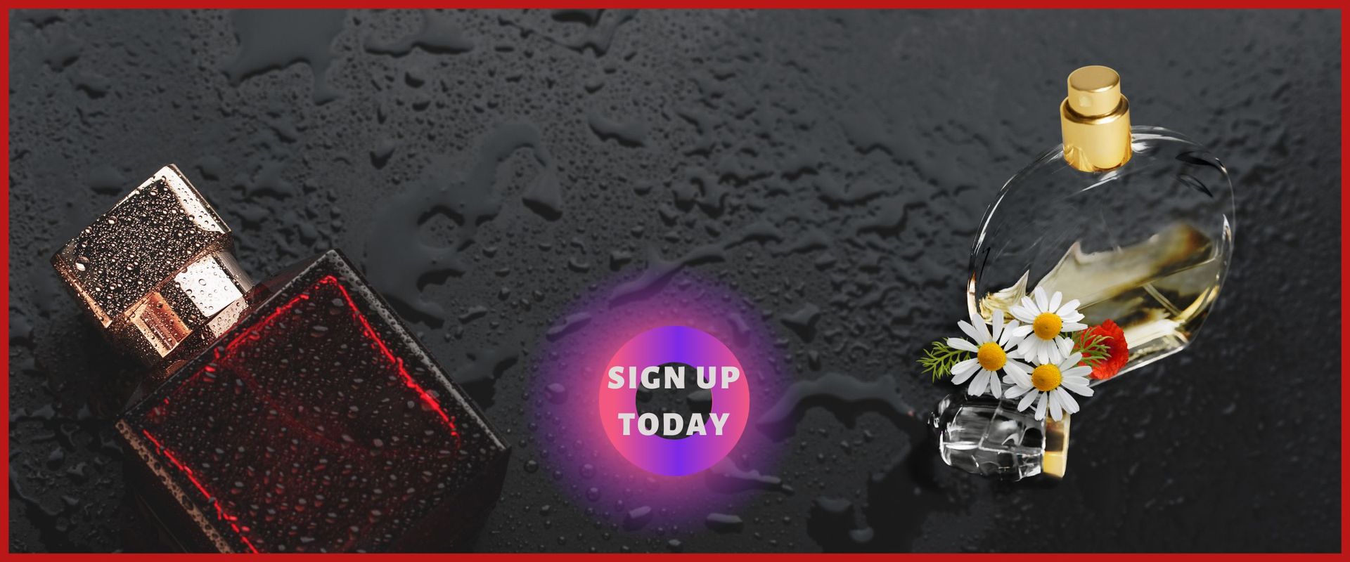 Exotic - One Stop Perfume Shop | Sign Up & Get Your One-Time 10% Off Now!