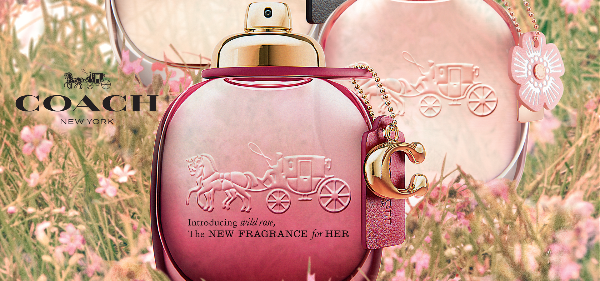 Exotic - One Stop Perfume Shop | 