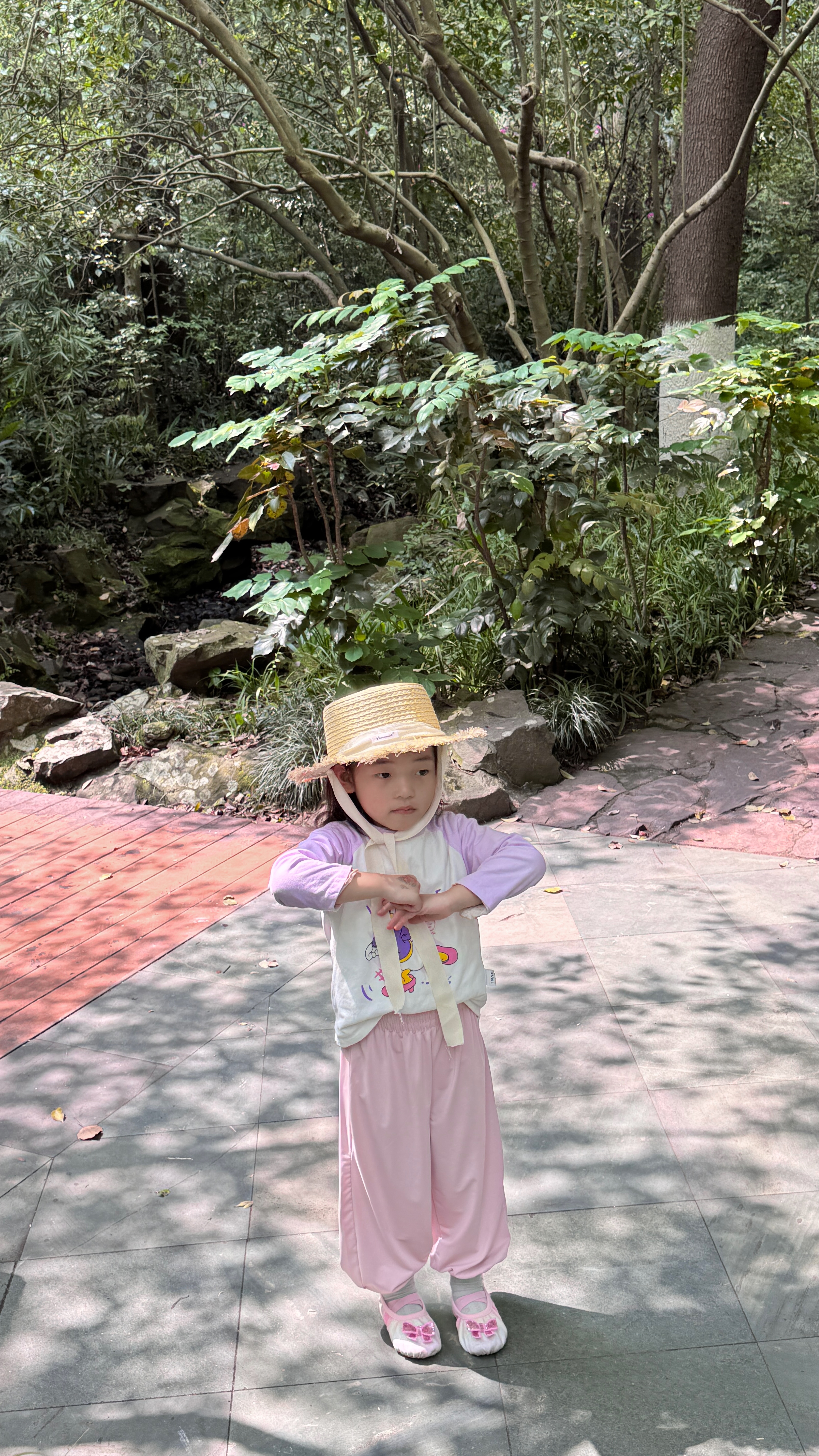 f6492c7c8f2ae66a69b16141f2dad709