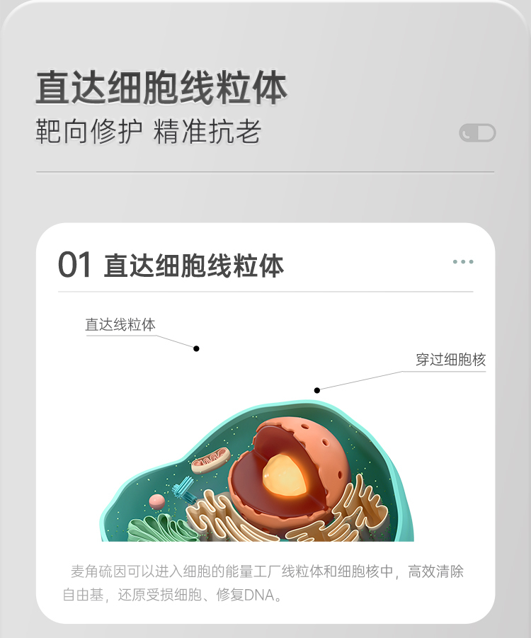 image_D8F81D76-E1F9-446F-A4FC-BC4AECFCDF4D_1774856055