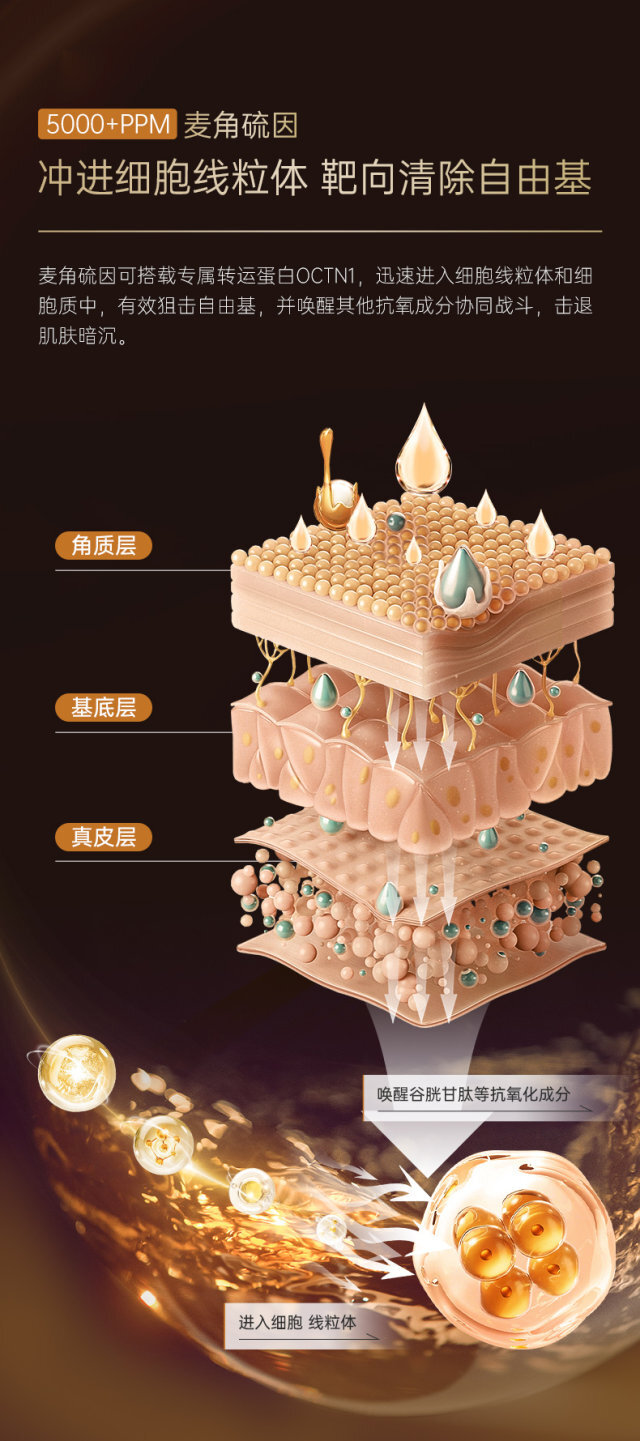 image_3D14702F-159E-458E-8274-6CC3915A02A8_1774857002