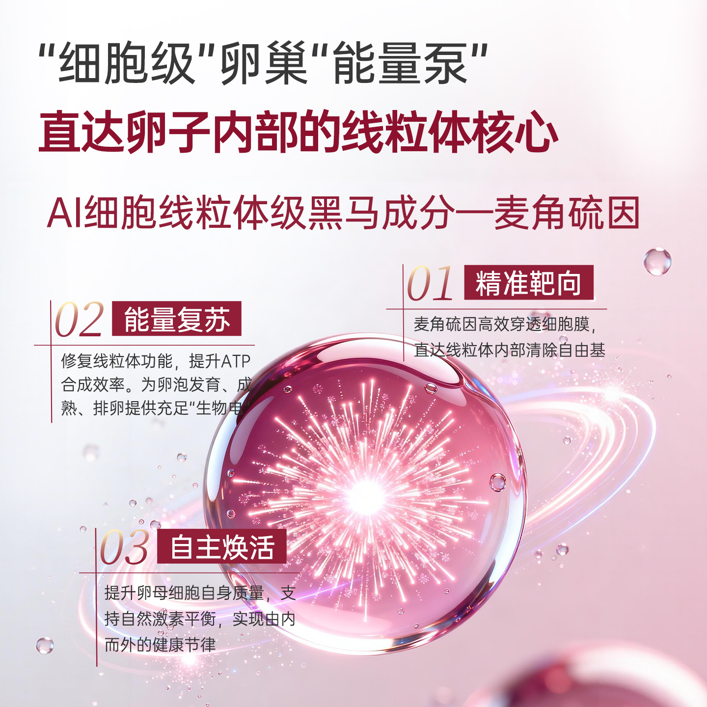 image_48343CED-0298-47FD-A01B-394D1301AC76_1775381083