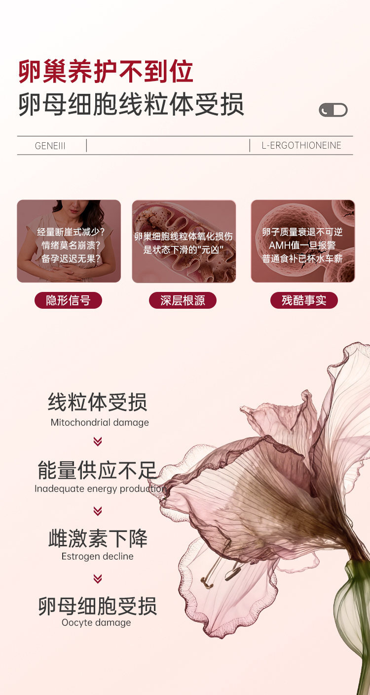 image_A5793237-F02F-4A5F-B97E-C3BDAC75C69F_1775381083