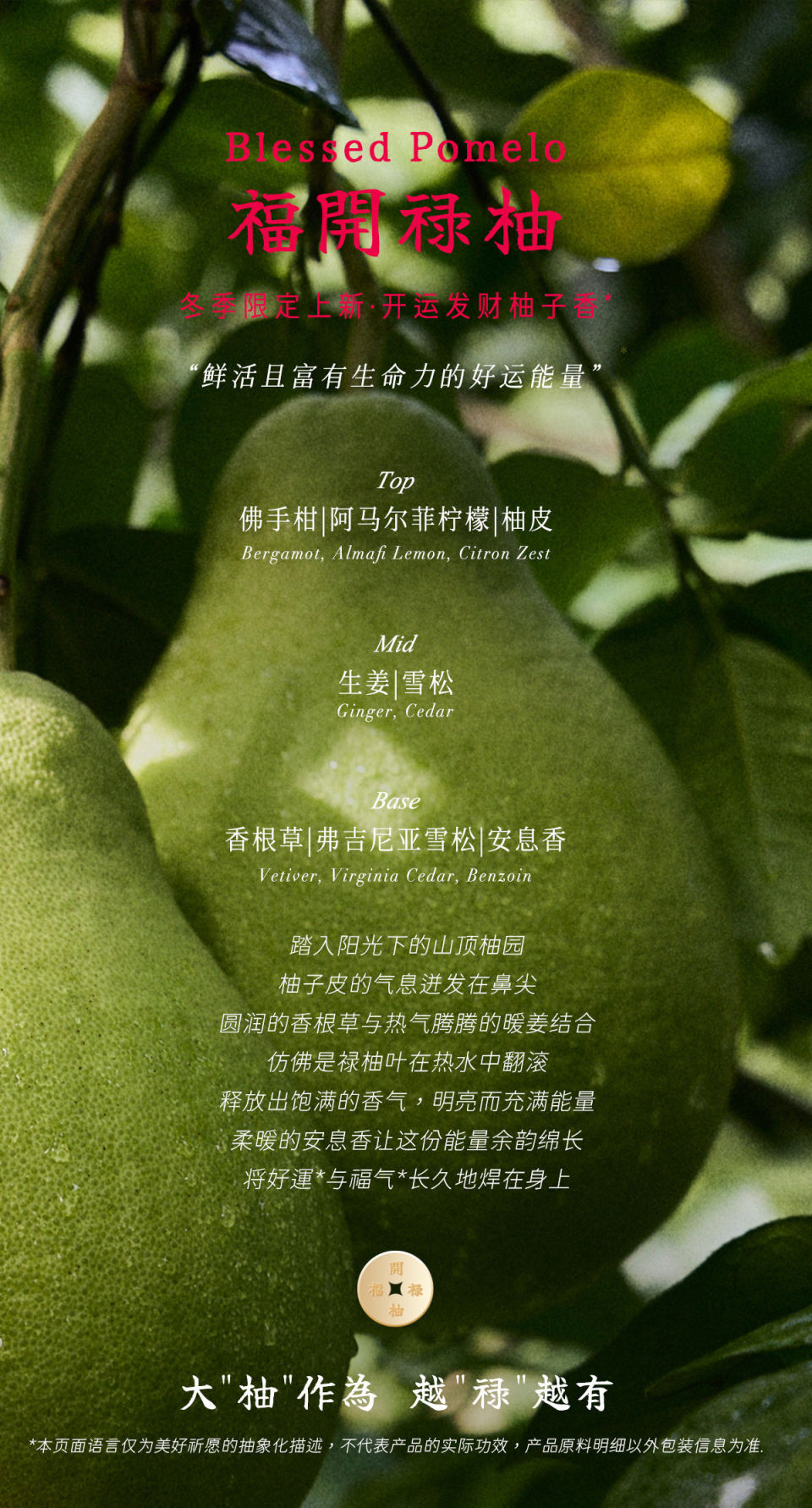 image_1857397A-33C5-42F6-BB9D-1DEA245416CB_1775567018