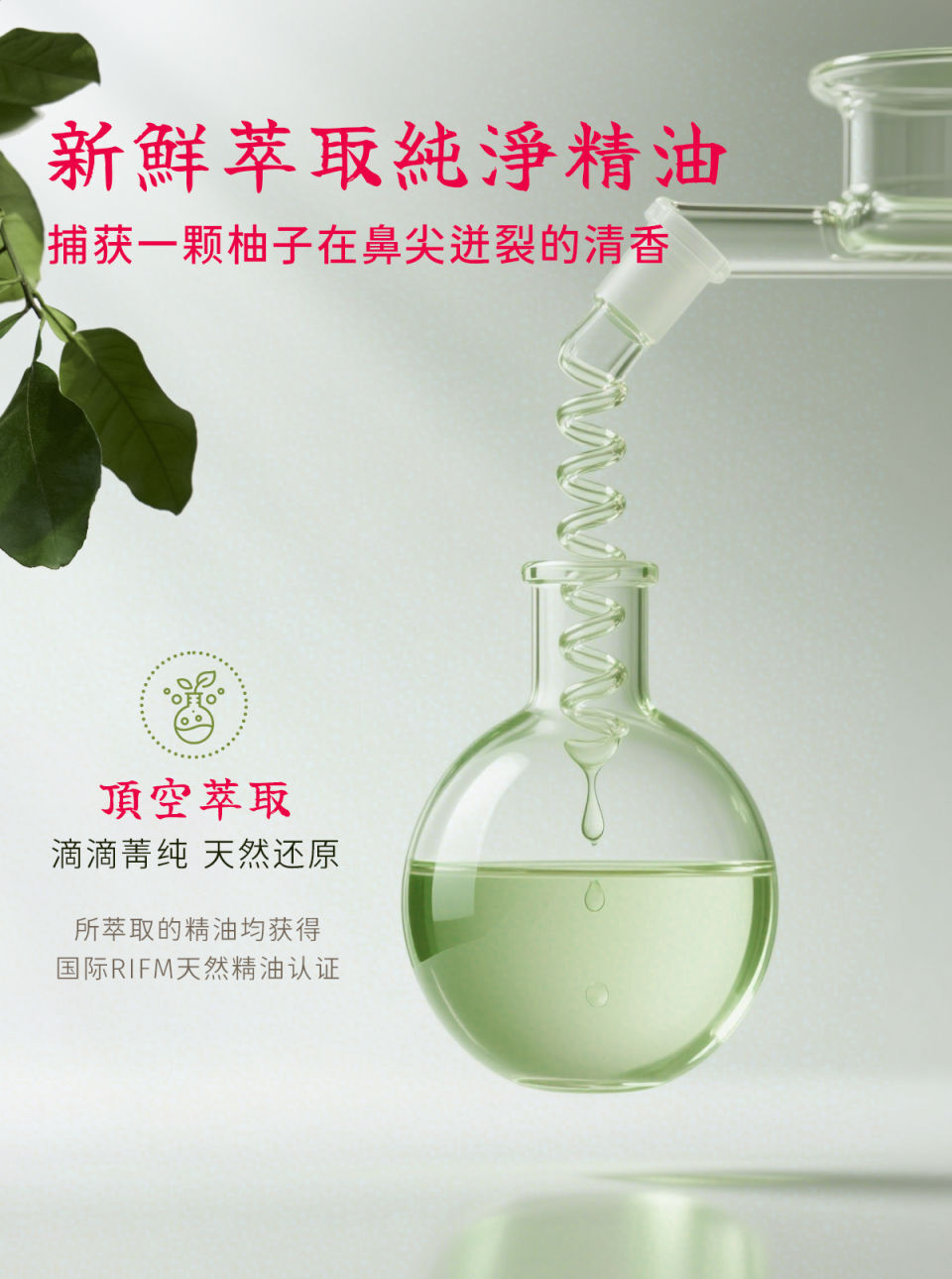 image_F1566155-9927-420F-890B-2421E2925A51_1775567018