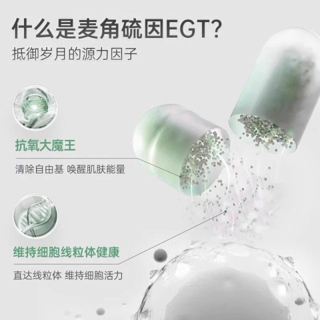 image_3F5E85FB-A5EA-452A-BA47-76035839C497_1761068140