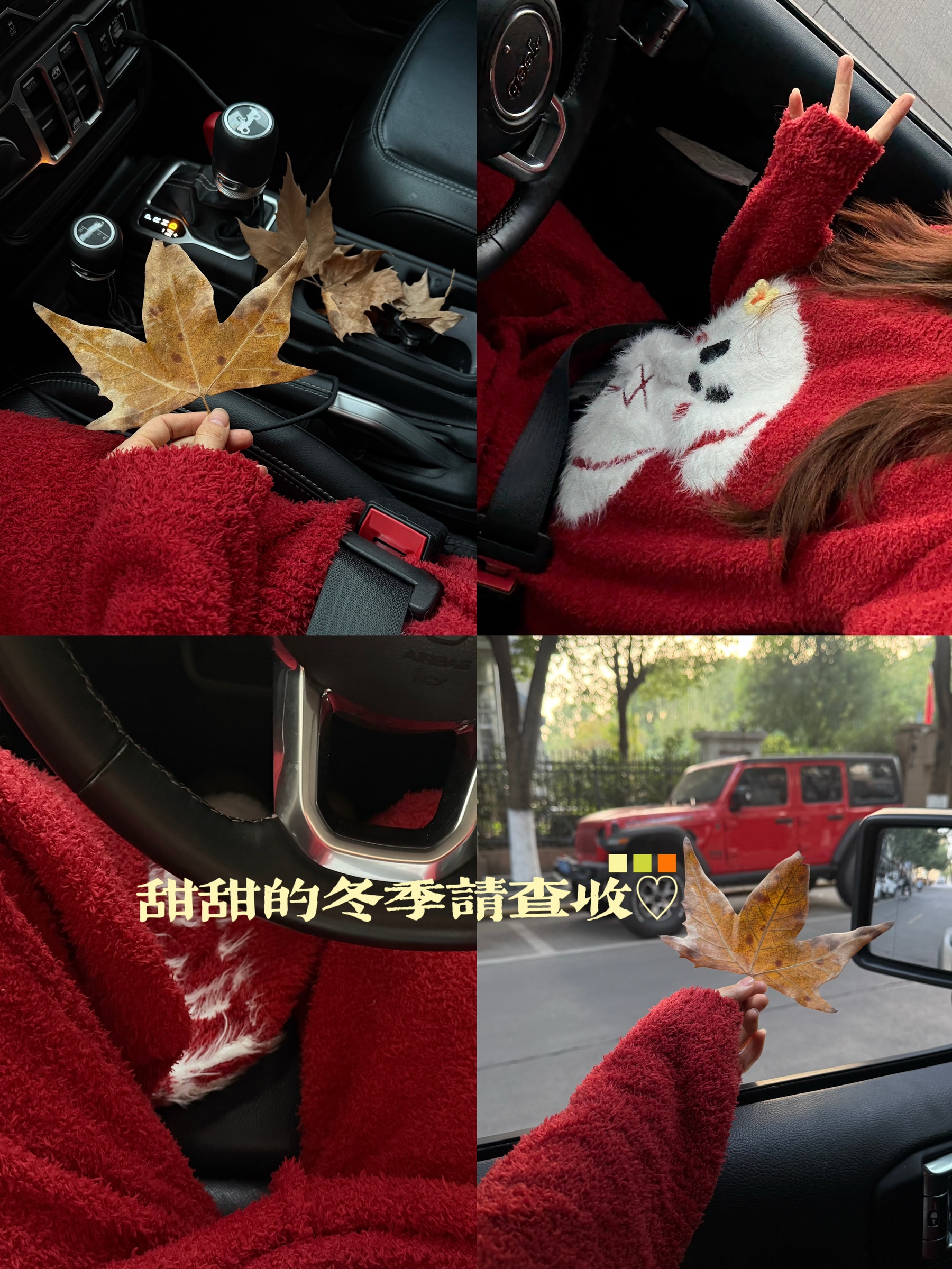 image_76A247F7-7D48-4C72-BDE8-707E45DED6D1_1764244275