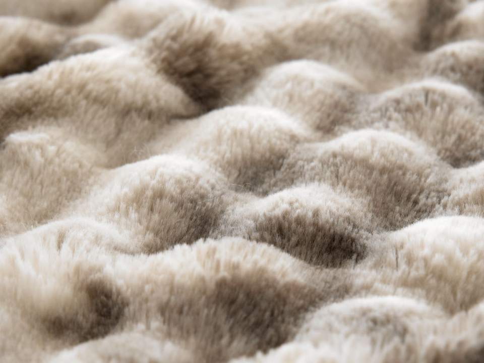 image_181DAA7E-C275-4533-99EC-CE8B3DD69EE0_1764875614