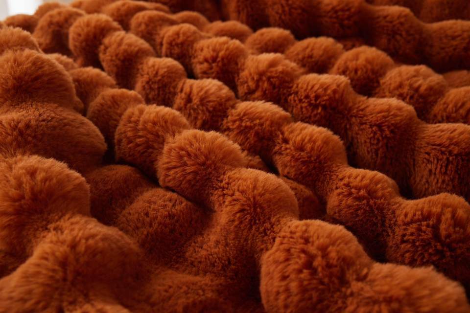 image_AAF4D5A7-87EE-416C-ABD9-16040DC92CA3_1764875614