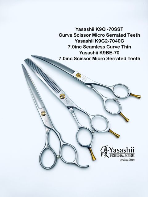 image_26F37FC1-9DF5-40FB-946E-8C50DFD282FC_1767600197