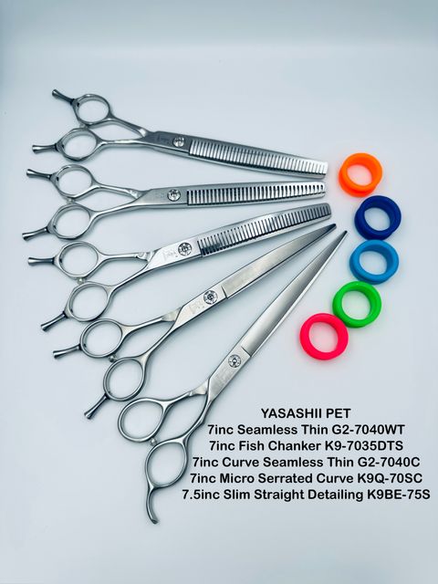 image_47F93B05-E649-4EE3-8A29-95F627F10CA5_1767601233