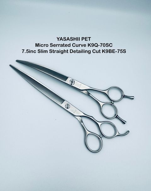 image_5C899A6E-94B4-4C61-BADD-D1E7988A1A5F_1767601368