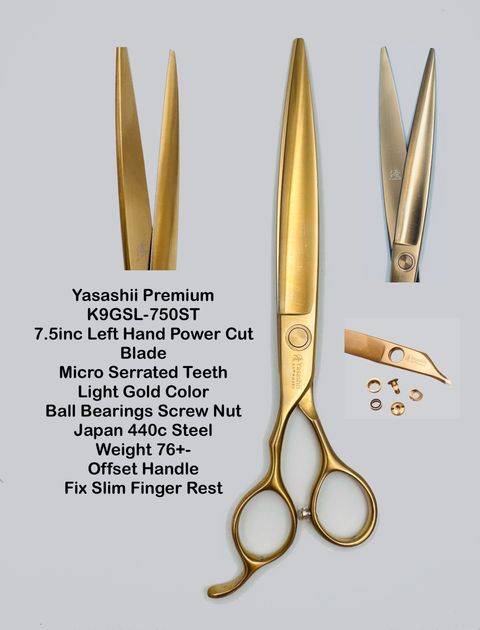 image_C71564C5-CD95-44F8-9504-8CFB74BFF0D3_1767608548