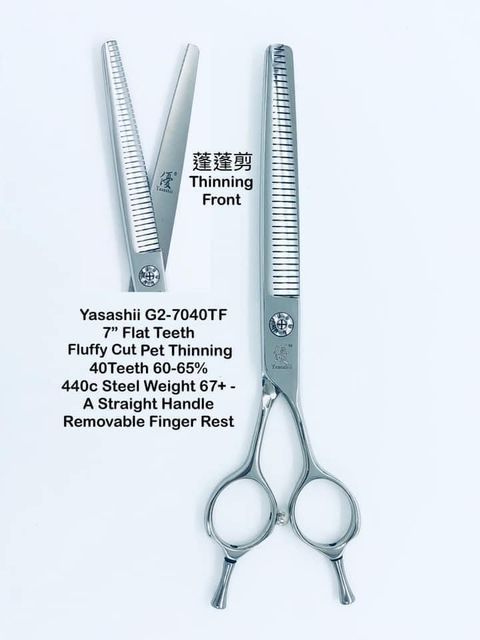 image_111F53D1-A892-4052-BCCF-45E10643C26D_1767680404