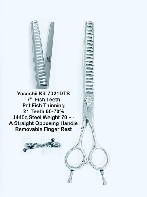 image_D502D5DD-A529-4549-9D20-39F83B5ACE8F_1767681420