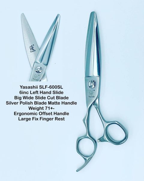 image_CF540BD7-3D4F-48B5-939D-2BBB17BB7944_1767689543