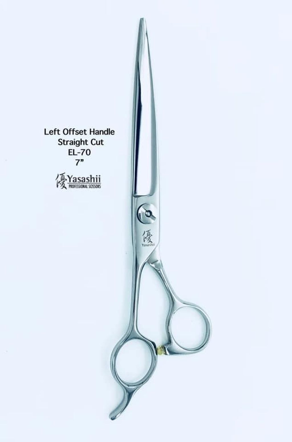 image_420B797F-C084-4672-AA23-1A683B07AADC_1767690367