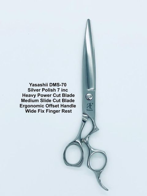 image_C473F56A-3064-49A9-ABBE-2C9B18BBA634_1767771802