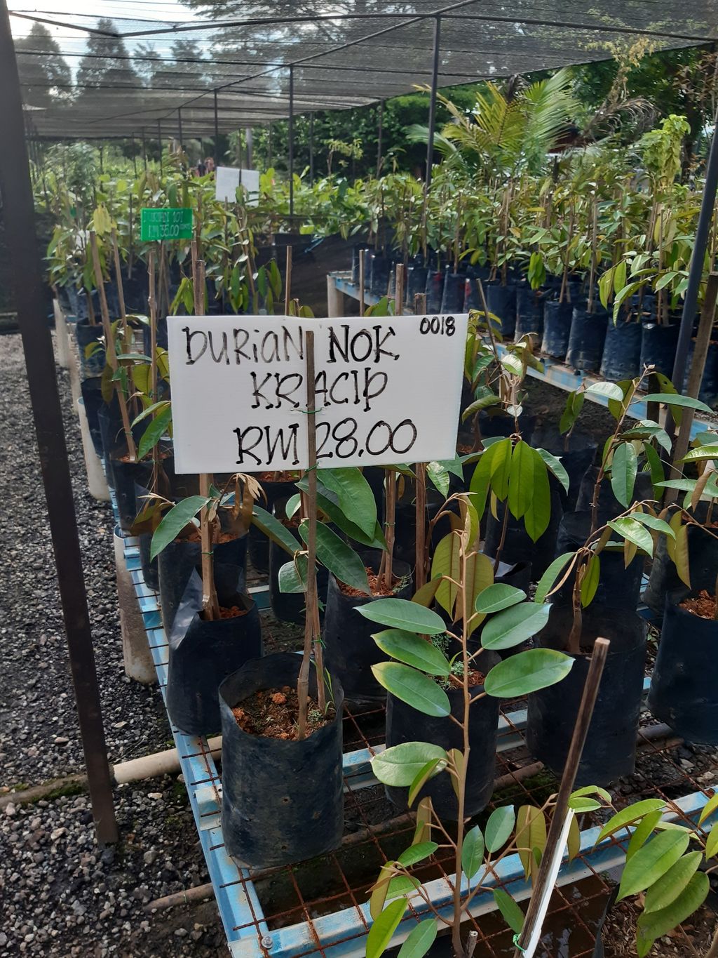 20201004_181251.jpg
