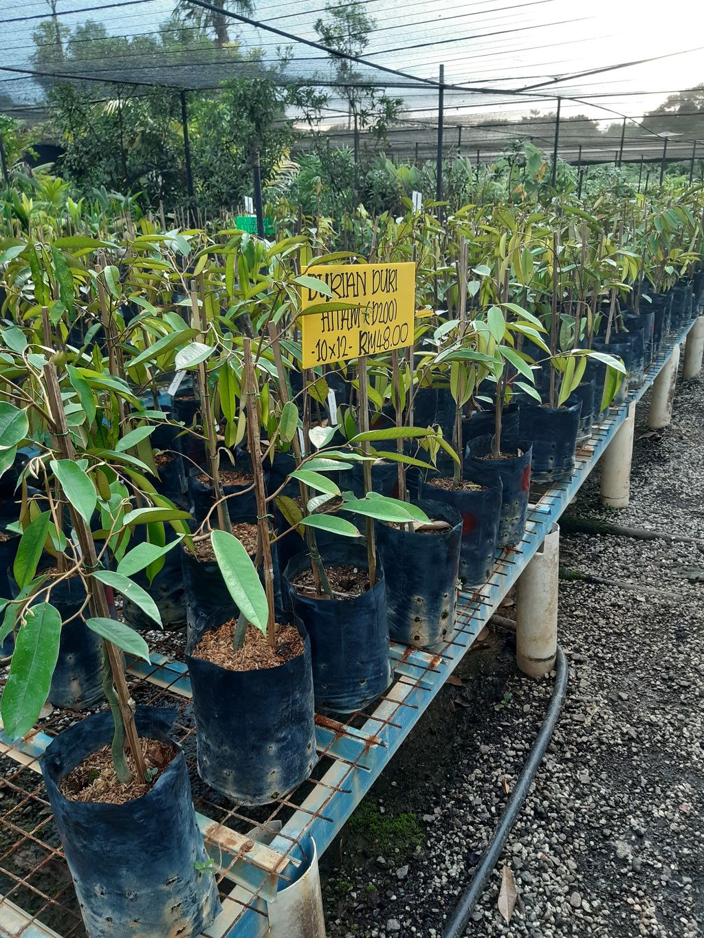 20201004_181306.jpg