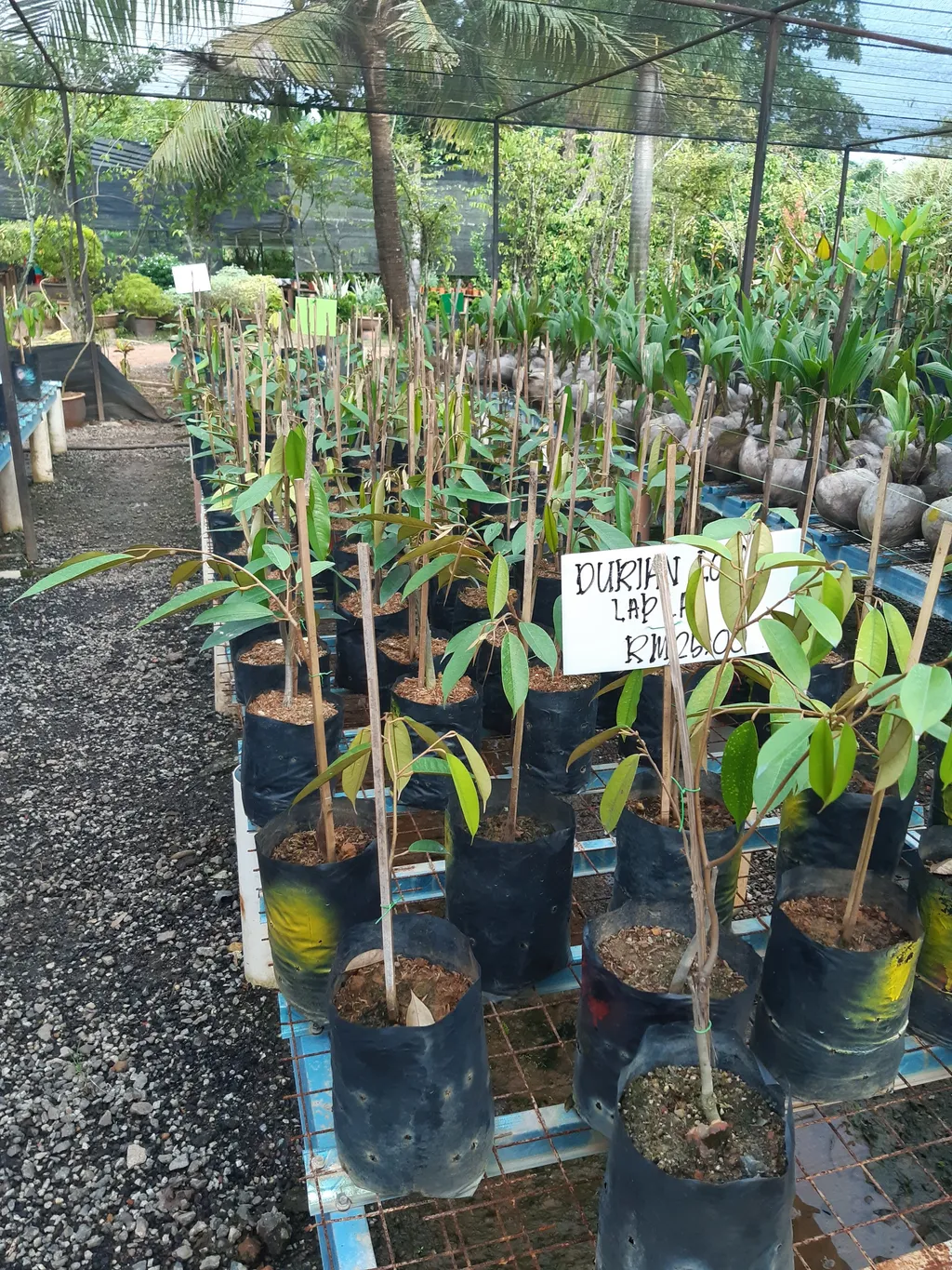 20201004_181050.jpg