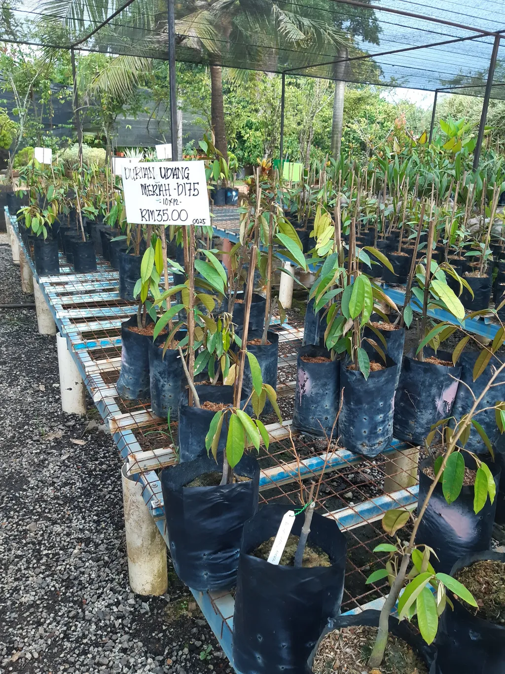 20201004_181035.jpg