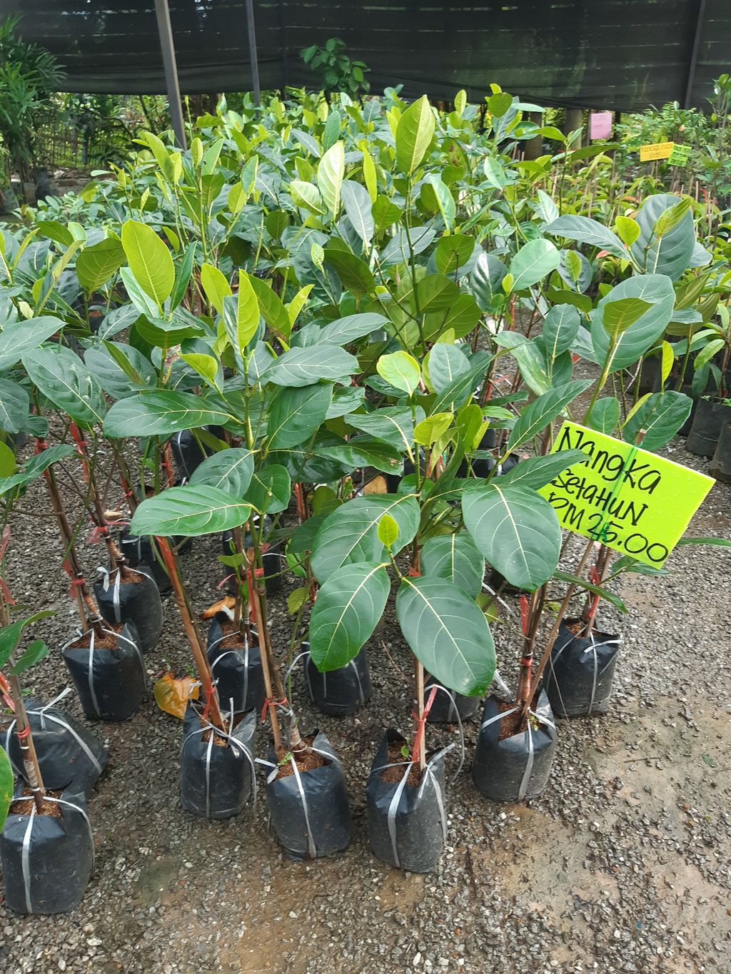 20201004_180905.jpg