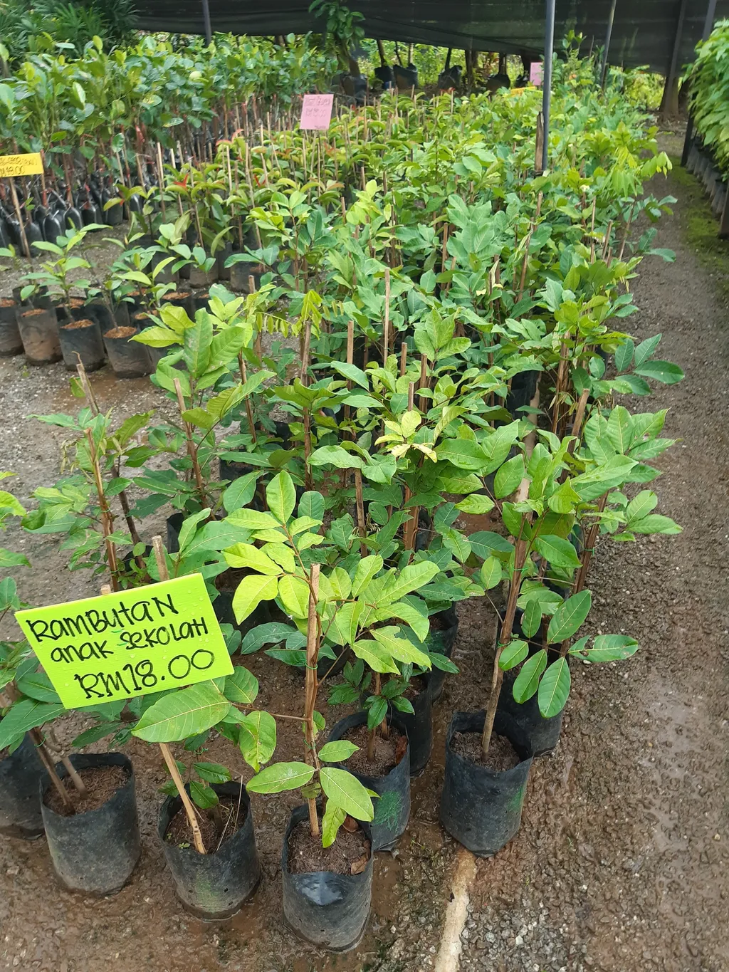 20201004_180836.jpg