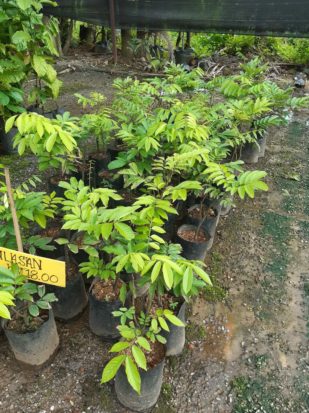 20201004_180759.jpg