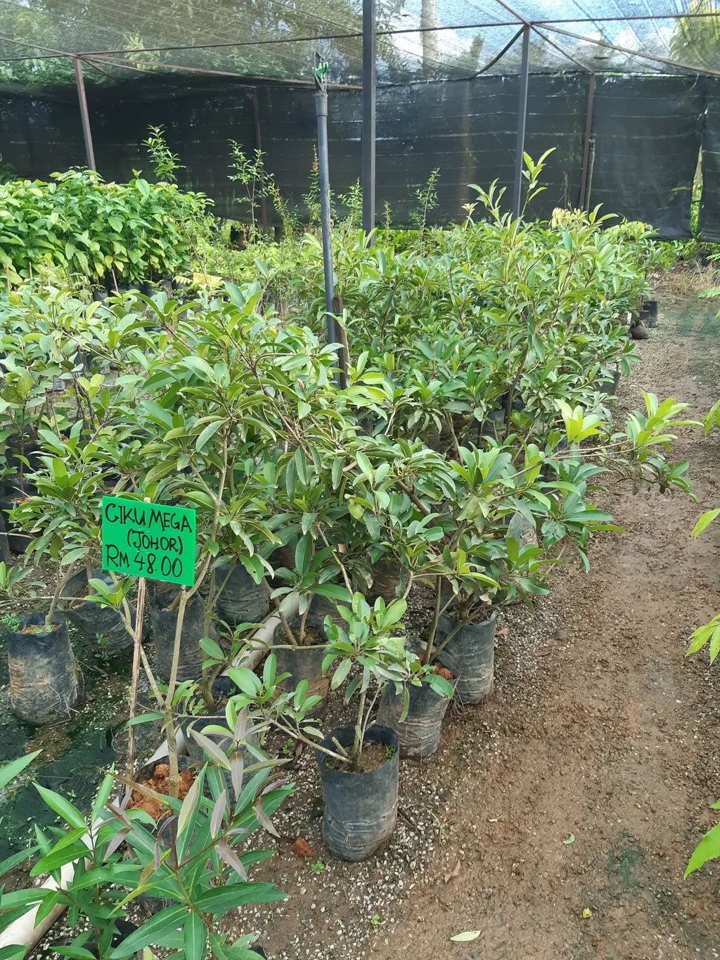 20201004_180725.jpg