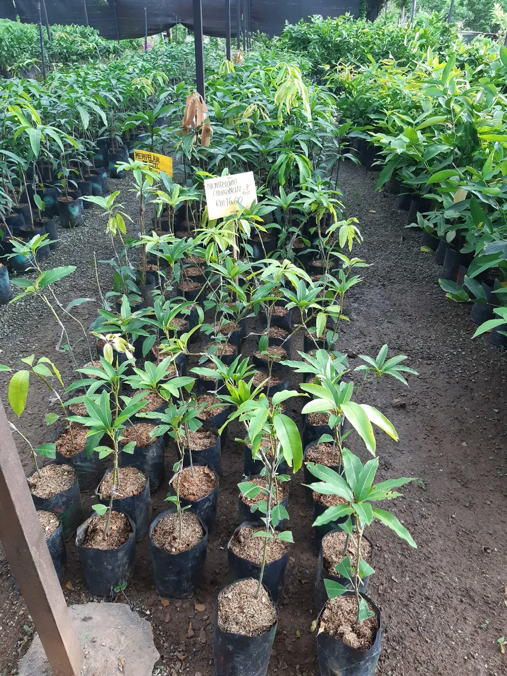 20201004_180255.jpg