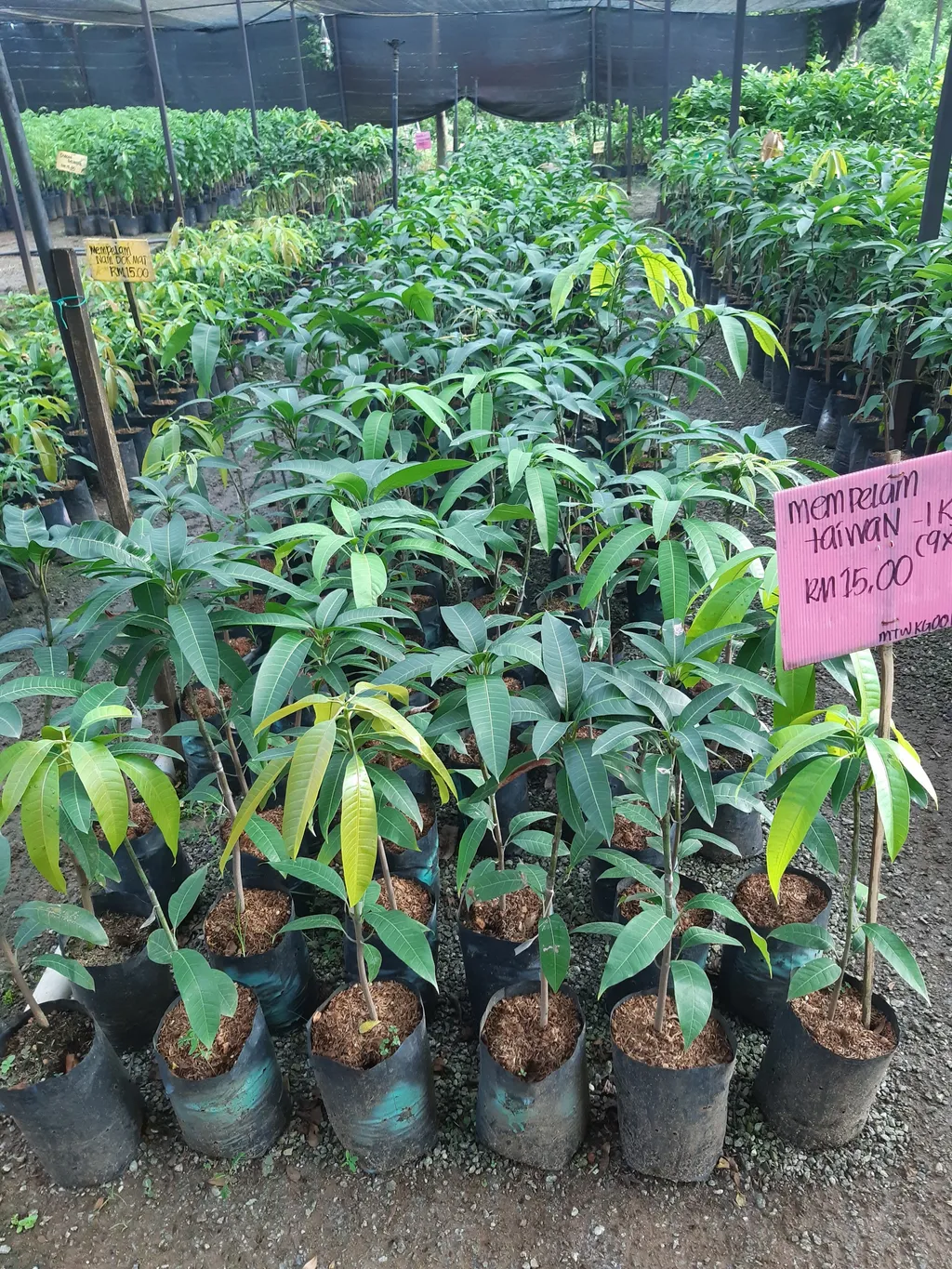 20201004_180247.jpg