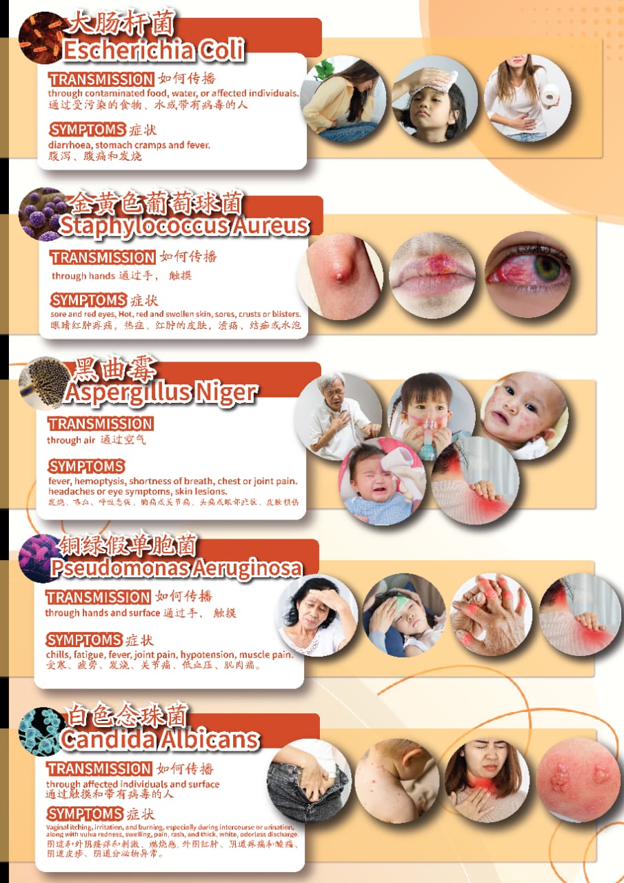 WhatsApp Image 2024-07-04 at 11.22.57 PM