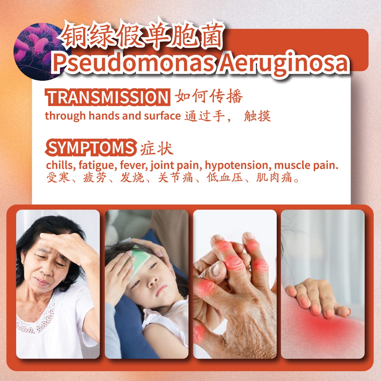 WhatsApp Image 2024-07-04 at 11.22.57 PM (1)