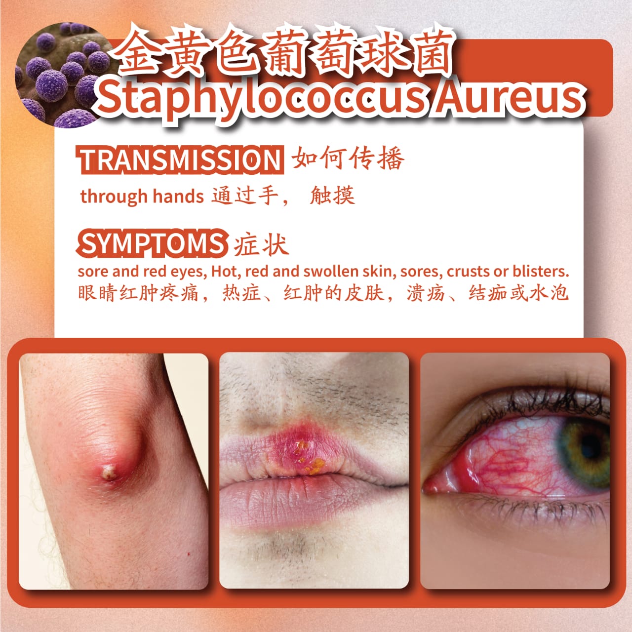 WhatsApp Image 2024-07-04 at 11.22.58 PM (1)