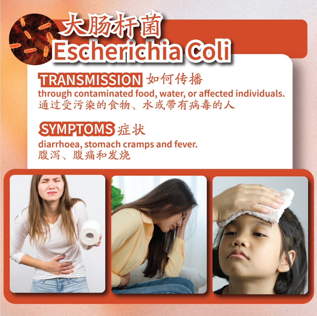 WhatsApp Image 2024-07-04 at 11.22.58 PM (2)