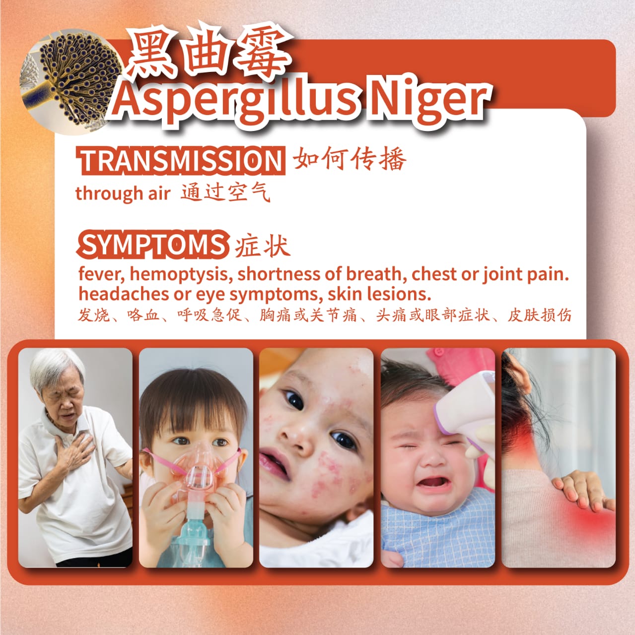 WhatsApp Image 2024-07-04 at 11.22.58 PM