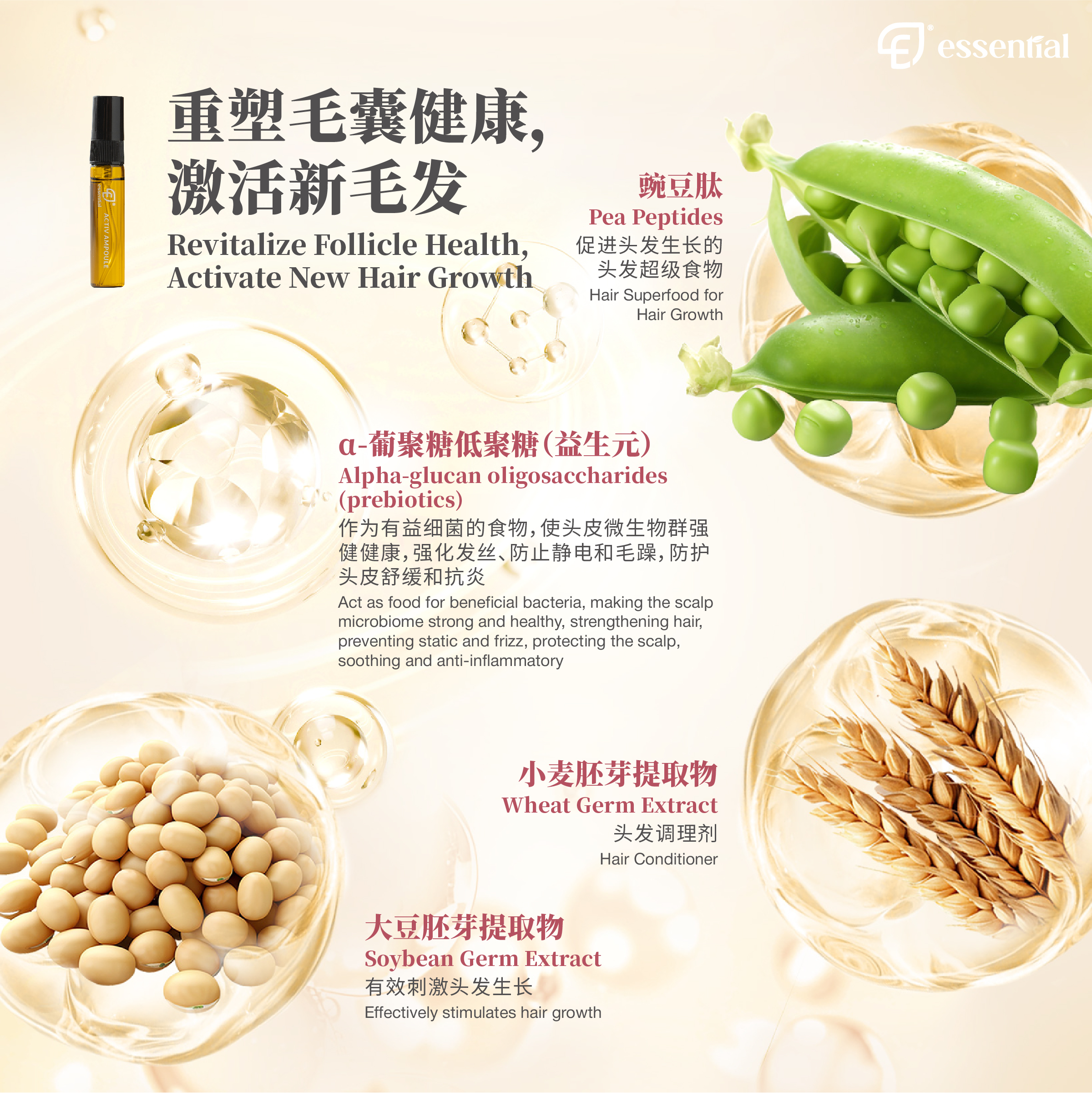 POSM_Active Ampoule_4