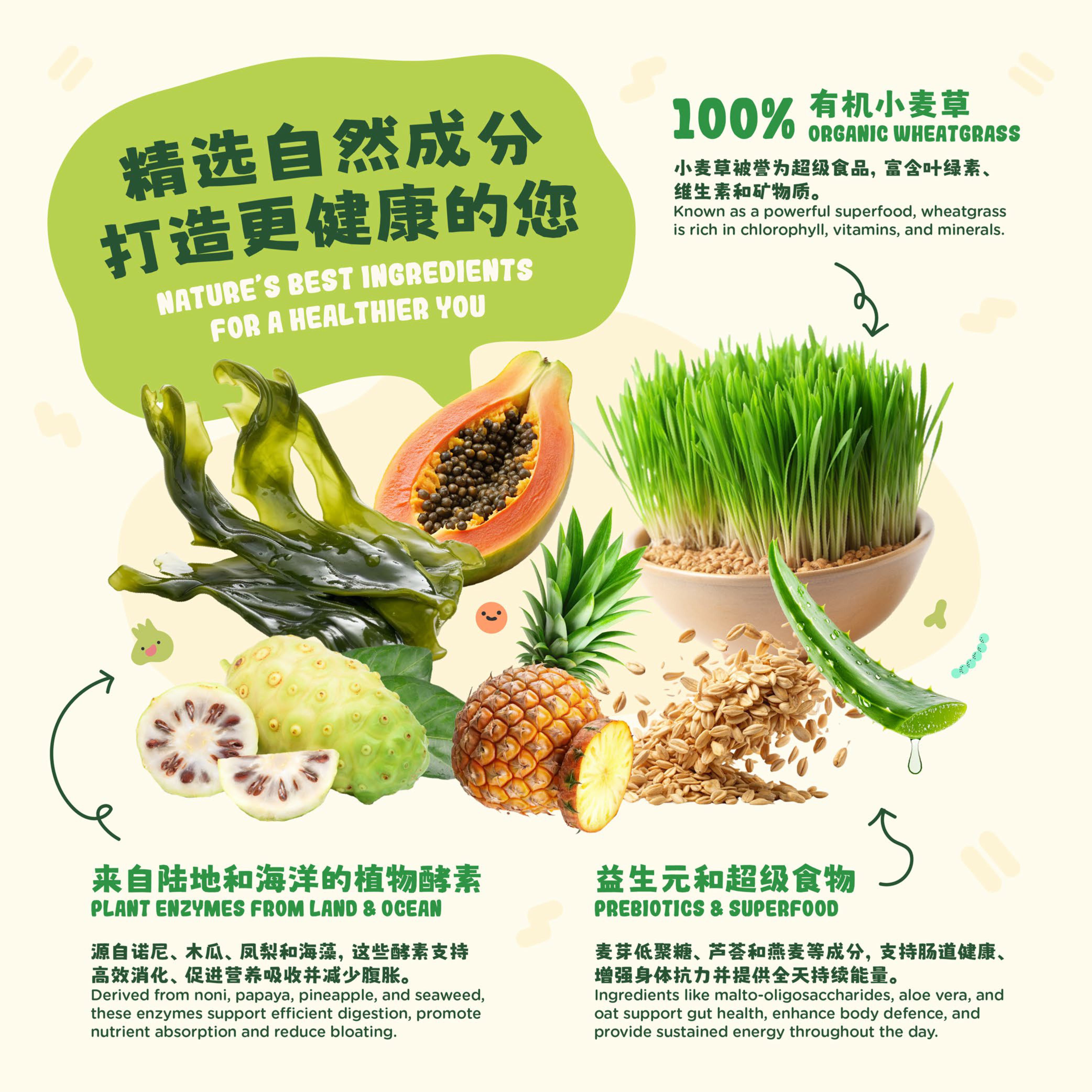 Ogreen POSM_FA-images-2