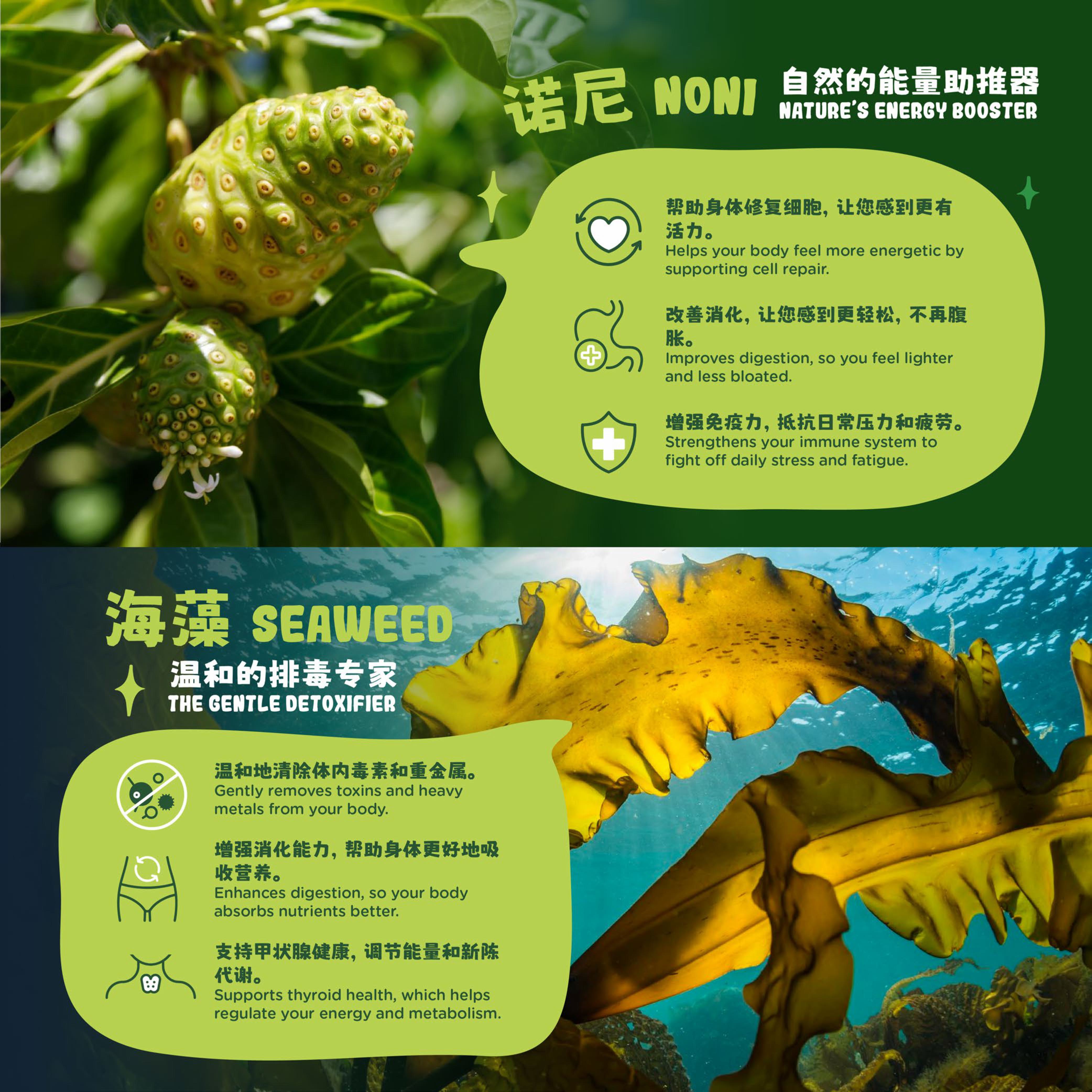 Ogreen POSM_FA-images-4