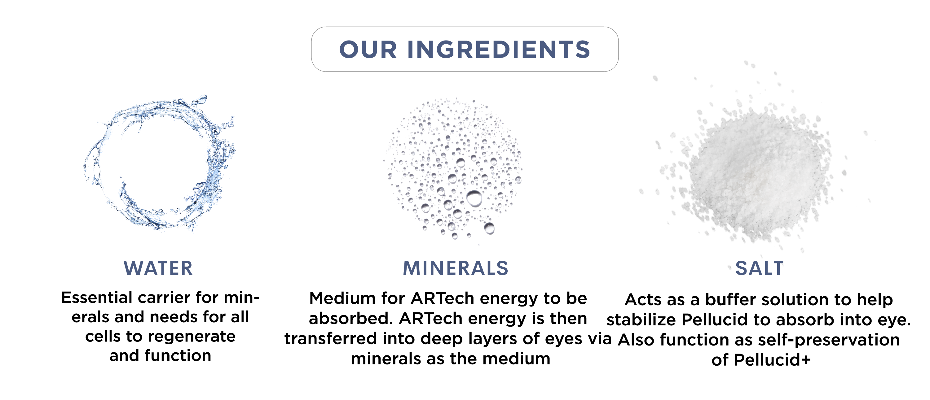 Ingredients (1)-01_1687167516