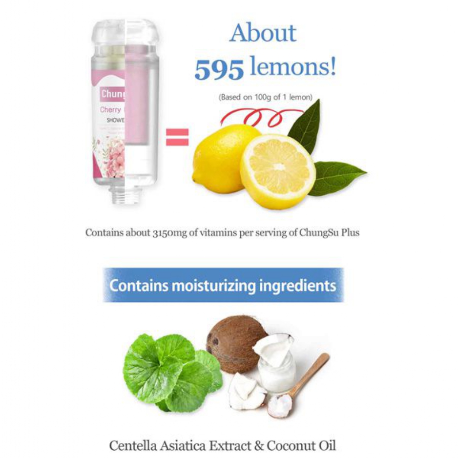 ChungsuPlus_page-0004