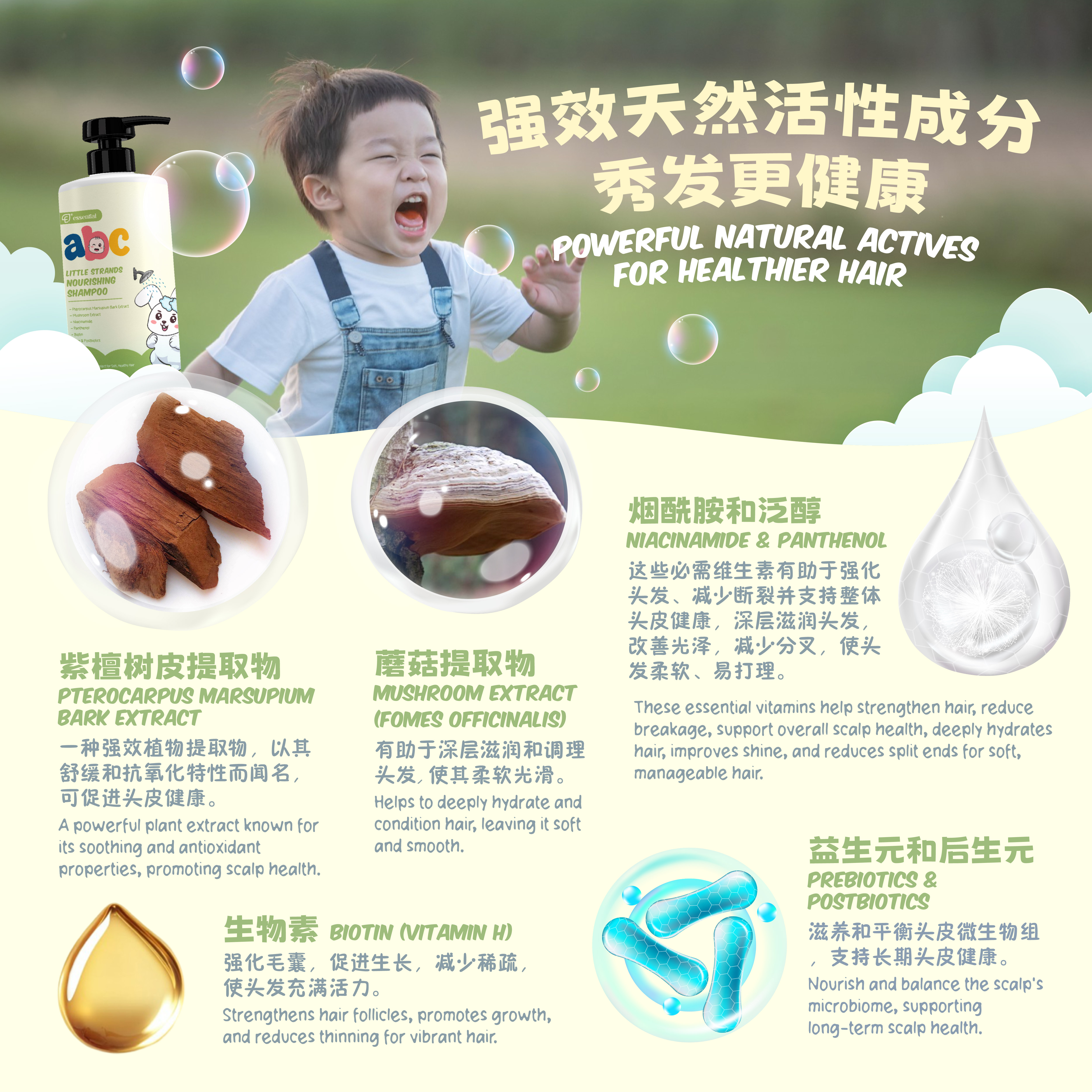 POSM_ABC Shampoo-04