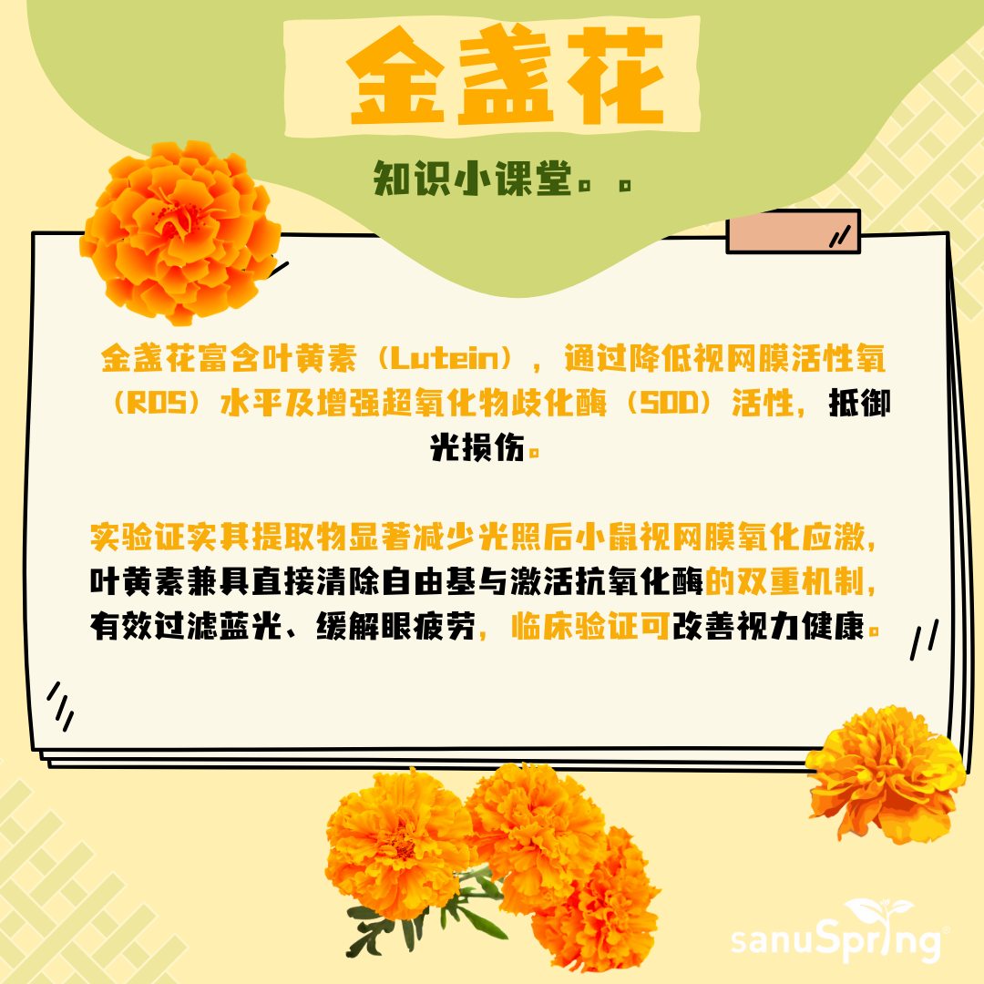 489886362_689779676905868_1657693219924942489_n