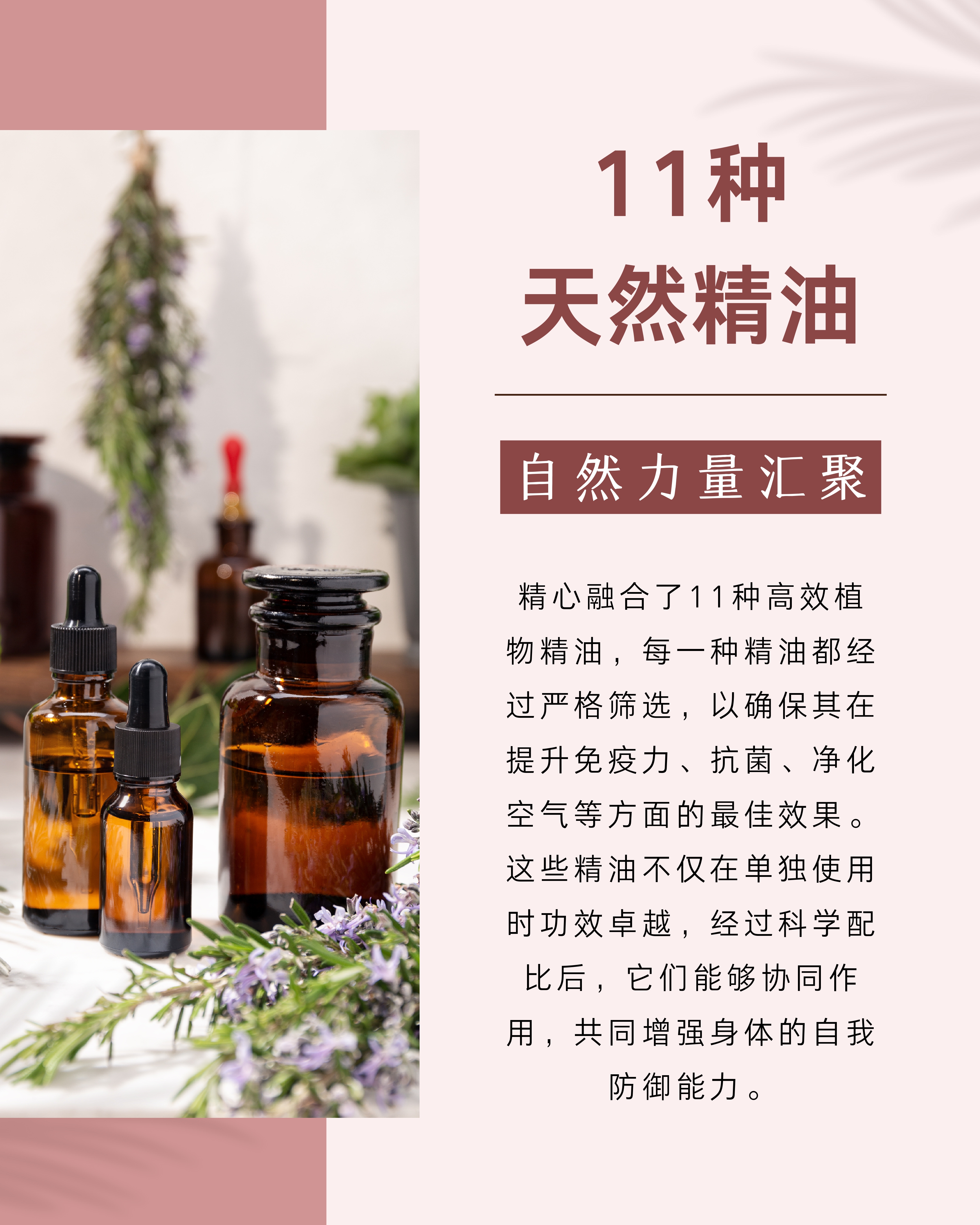 Immunité Plus精油产品介绍_page-0002