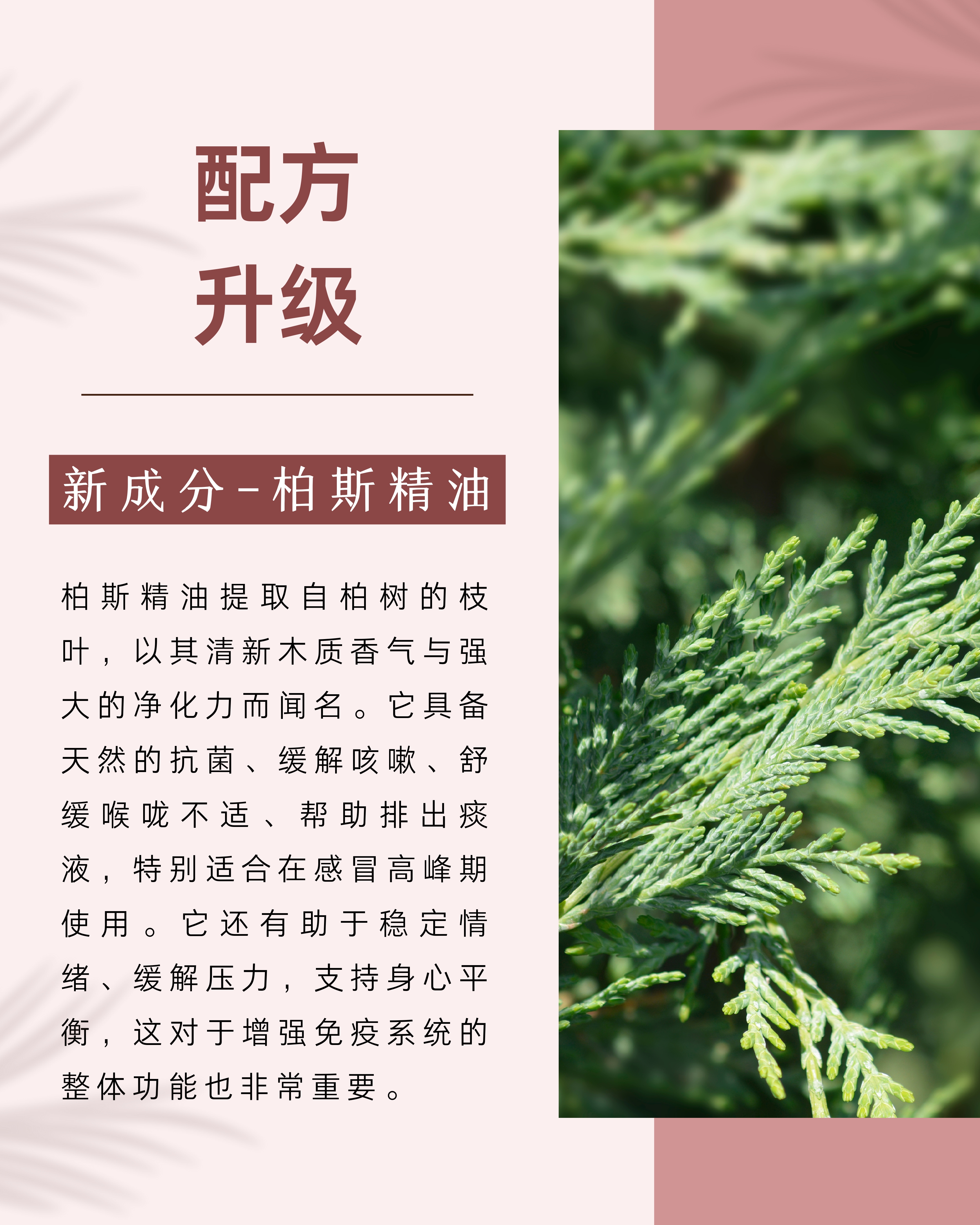 Immunité Plus精油产品介绍_page-0003