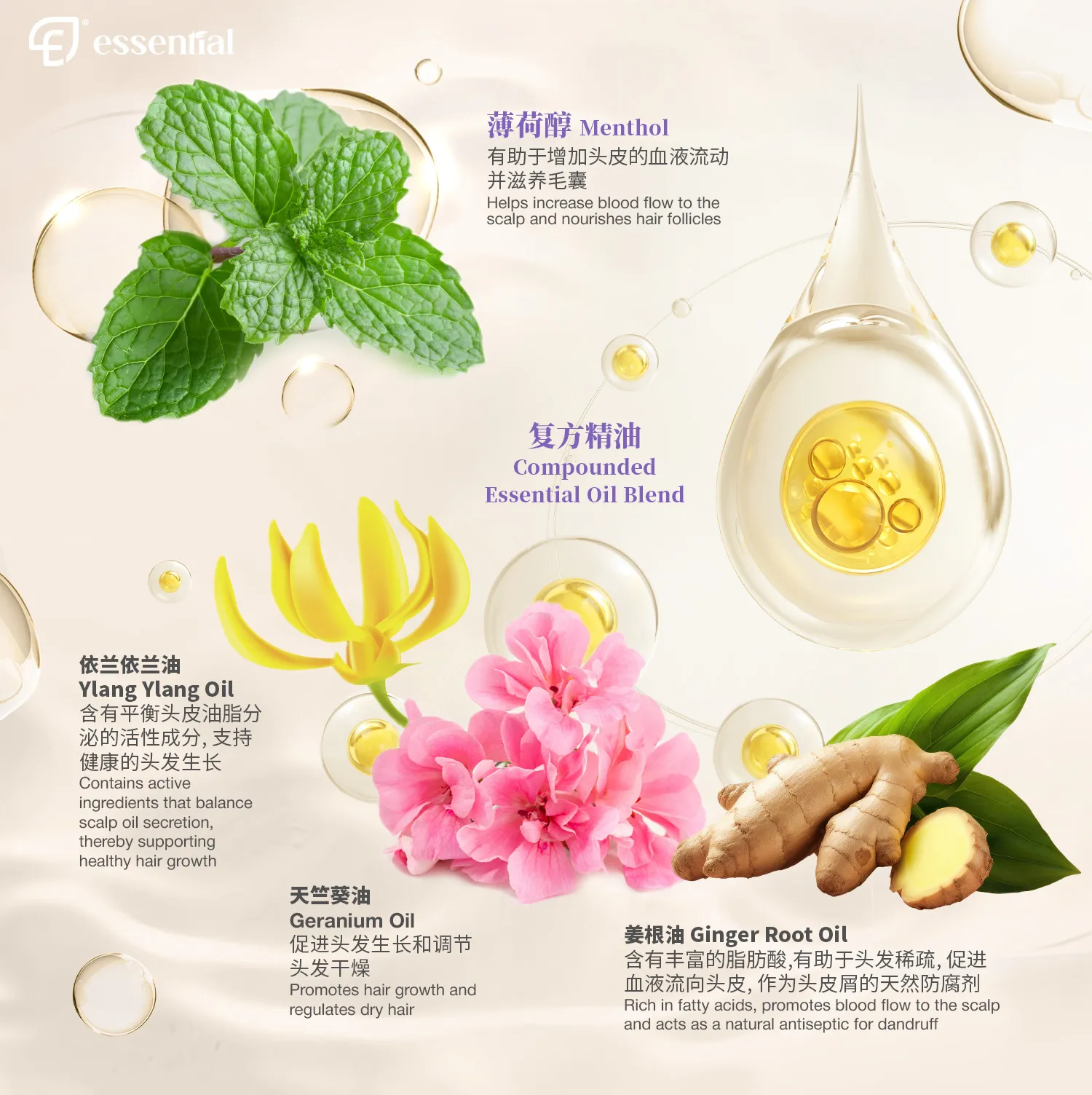 POSM_Volume-Shampoo_5