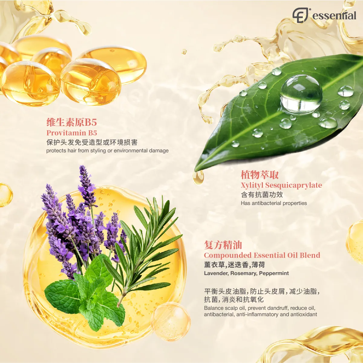 POSM_Repair Restore Shampoo_5